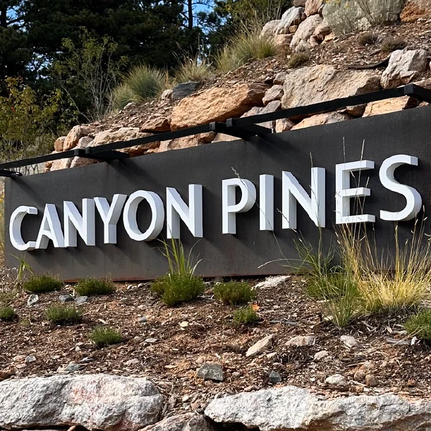 Canyon Pines, Identity and website (vision book design by Heidi Fry)