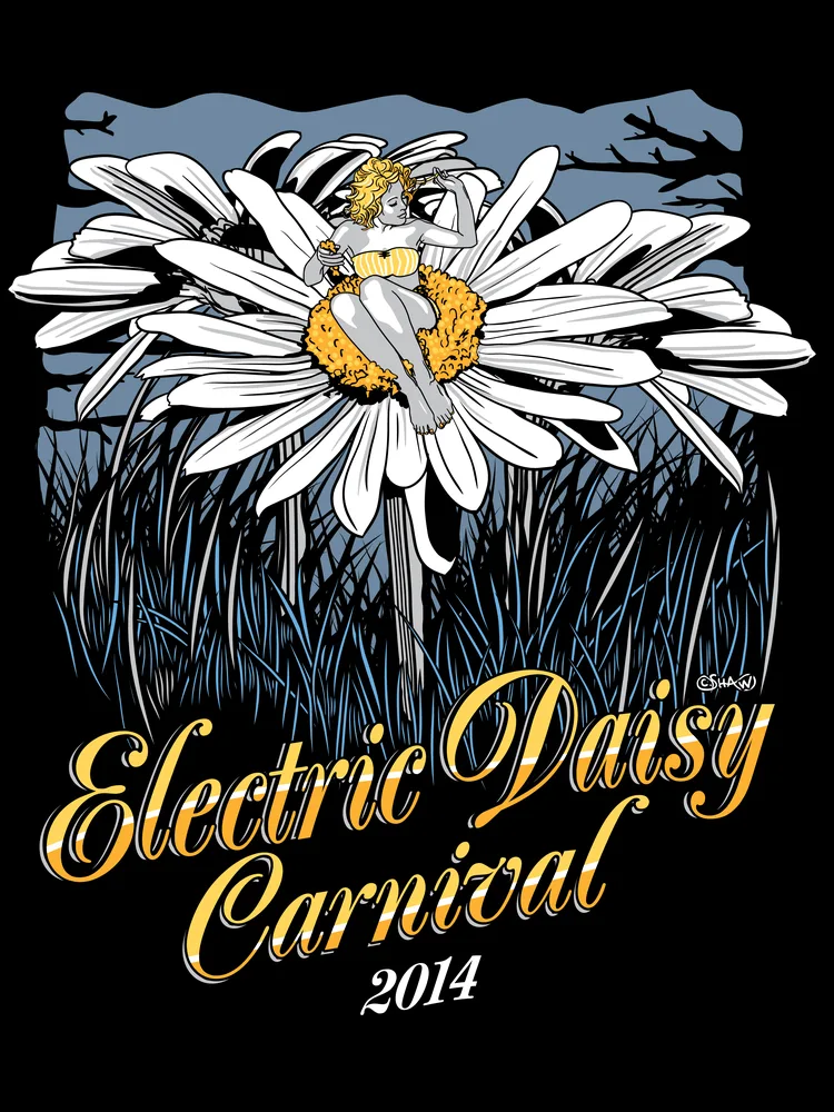 Electric Daisy Carnival, 2014