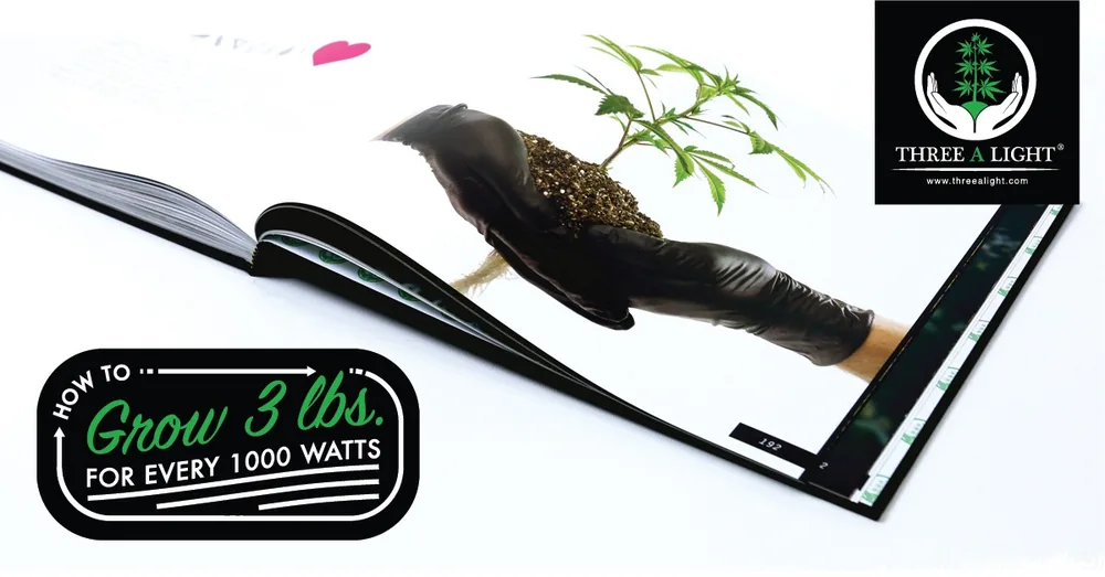 Three A Light, Ads and grow guide